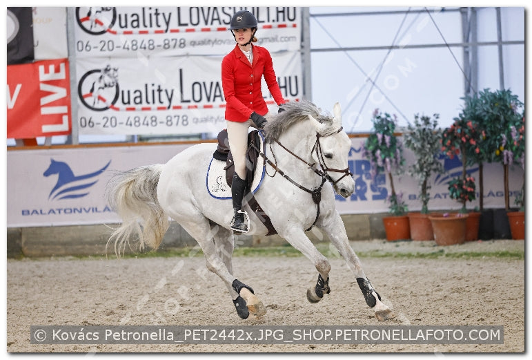 A kép az eredeti csökkentett reprezentációja