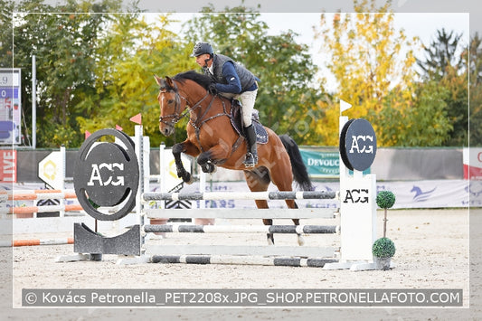 A kép az eredeti csökkentett reprezentációja