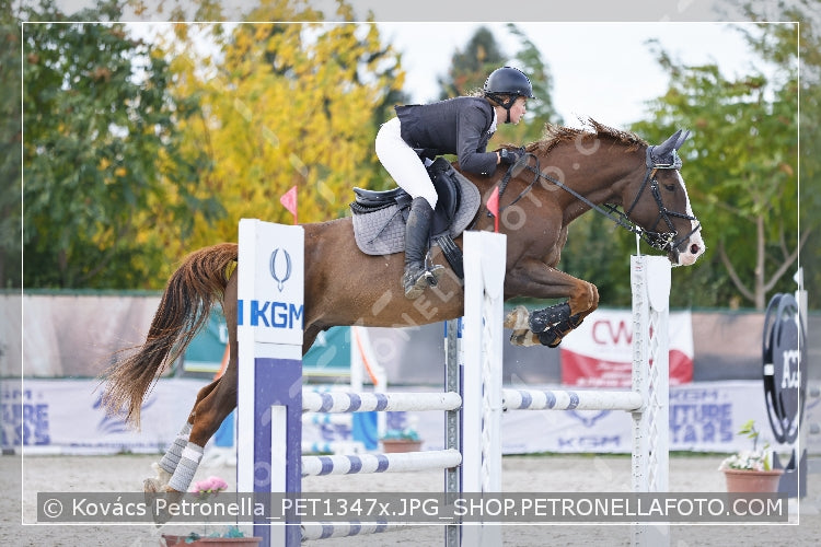 A kép az eredeti csökkentett reprezentációja