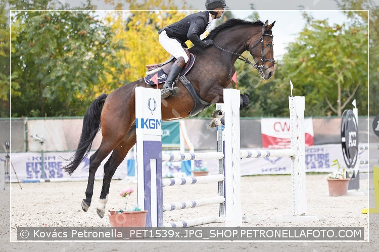 A kép az eredeti csökkentett reprezentációja