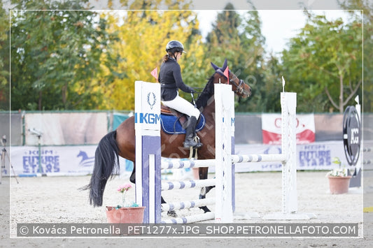 A kép az eredeti csökkentett reprezentációja