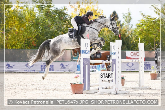 A kép az eredeti csökkentett reprezentációja