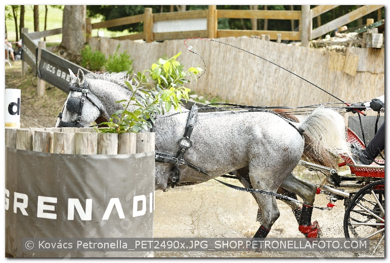 A kép az eredeti csökkentett reprezentációja