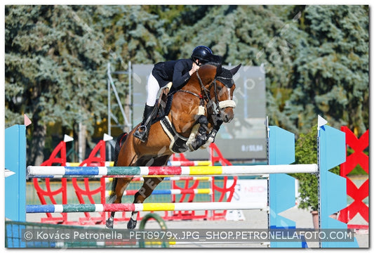 A kép az eredeti csökkentett reprezentációja