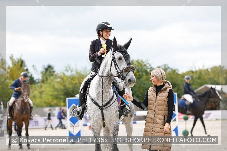 A kép az eredeti csökkentett reprezentációja