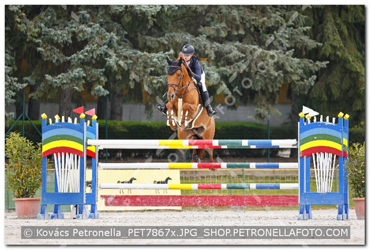 A kép az eredeti csökkentett reprezentációja