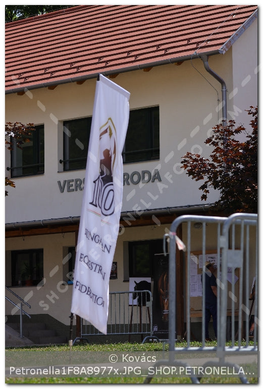 A kép az eredeti csökkentett reprezentációja