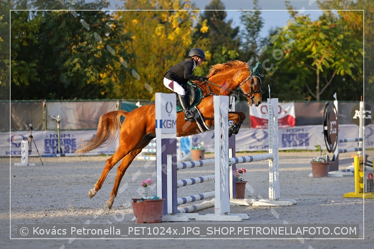 A kép az eredeti csökkentett reprezentációja
