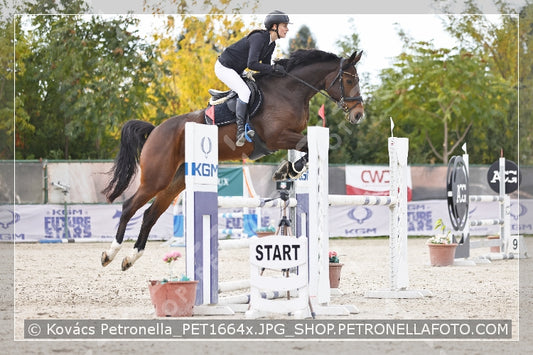 A kép az eredeti csökkentett reprezentációja