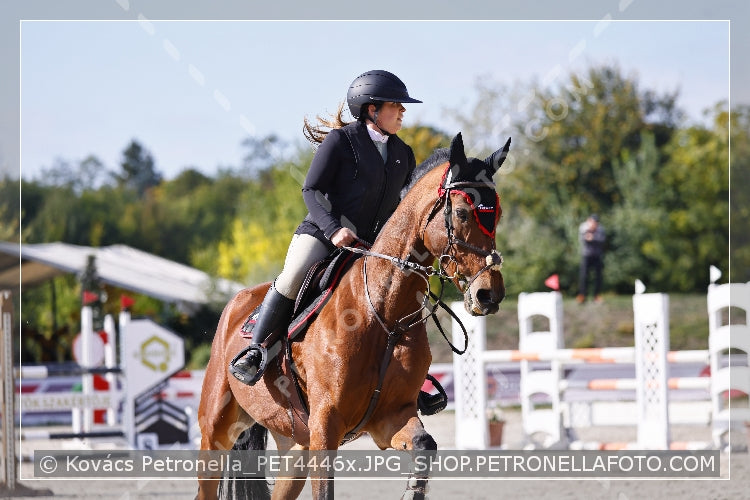 A kép az eredeti csökkentett reprezentációja
