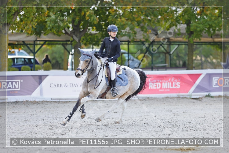 A kép az eredeti csökkentett reprezentációja