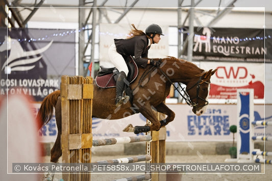 A kép az eredeti csökkentett reprezentációja