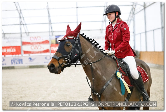 A kép az eredeti csökkentett reprezentációja