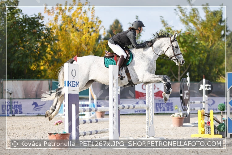 A kép az eredeti csökkentett reprezentációja