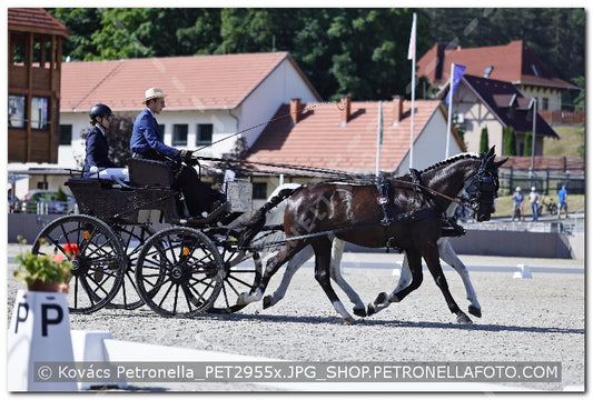 A kép az eredeti csökkentett reprezentációja