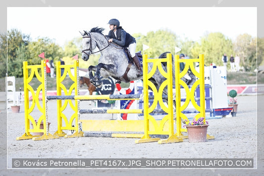 A kép az eredeti csökkentett reprezentációja