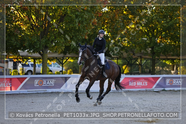 A kép az eredeti csökkentett reprezentációja