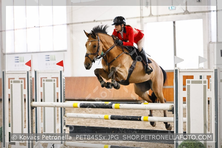 A kép az eredeti csökkentett reprezentációja