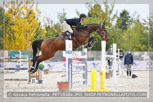 A kép az eredeti csökkentett reprezentációja