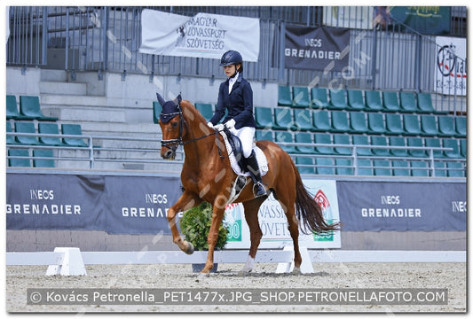 A kép az eredeti csökkentett reprezentációja