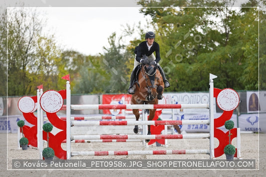 A kép az eredeti csökkentett reprezentációja