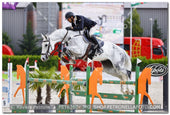 A kép az eredeti csökkentett reprezentációja