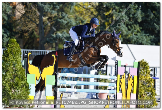 A kép az eredeti csökkentett reprezentációja