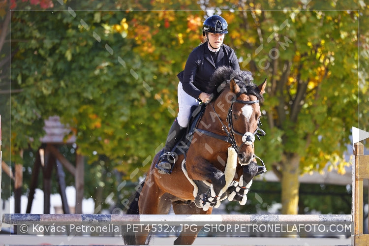 A kép az eredeti csökkentett reprezentációja