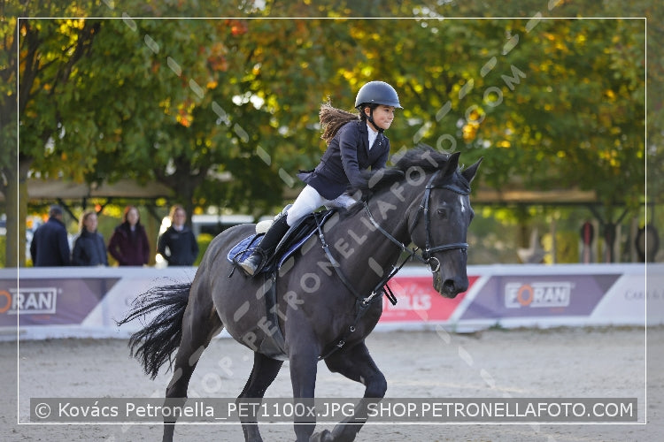 A kép az eredeti csökkentett reprezentációja