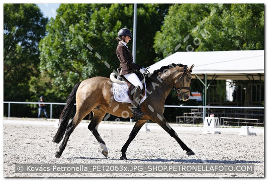 A kép az eredeti csökkentett reprezentációja