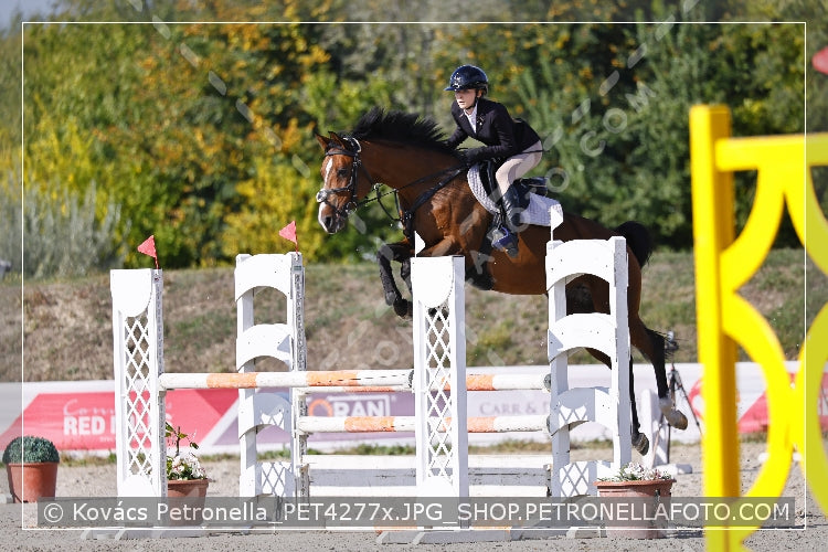 A kép az eredeti csökkentett reprezentációja