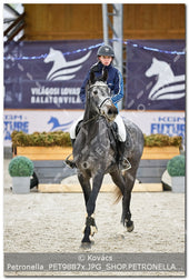 A kép az eredeti csökkentett reprezentációja