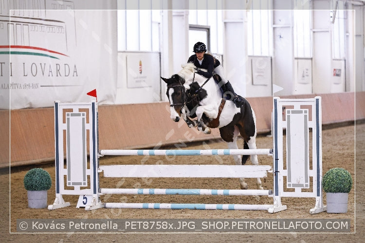 A kép az eredeti csökkentett reprezentációja