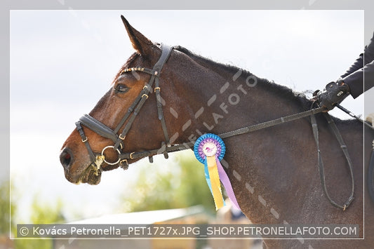 A kép az eredeti csökkentett reprezentációja