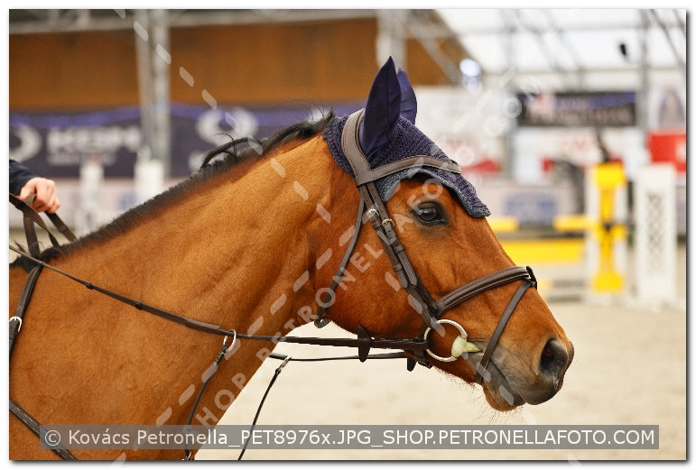 A kép az eredeti csökkentett reprezentációja