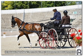 A kép az eredeti csökkentett reprezentációja