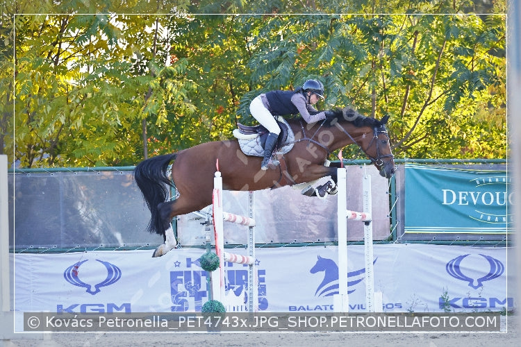 A kép az eredeti csökkentett reprezentációja