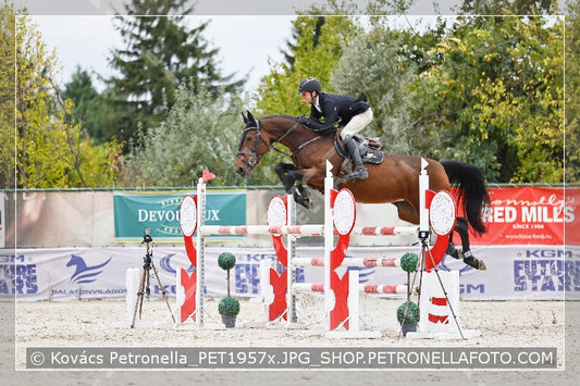 A kép az eredeti csökkentett reprezentációja