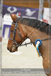 A kép az eredeti csökkentett reprezentációja