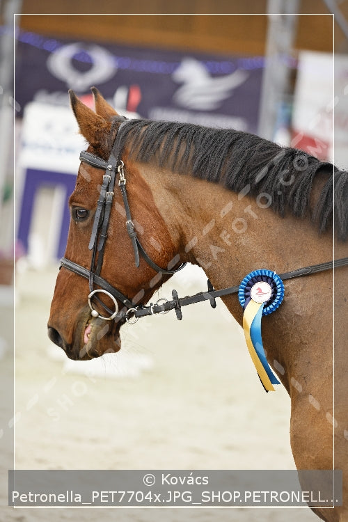 A kép az eredeti csökkentett reprezentációja