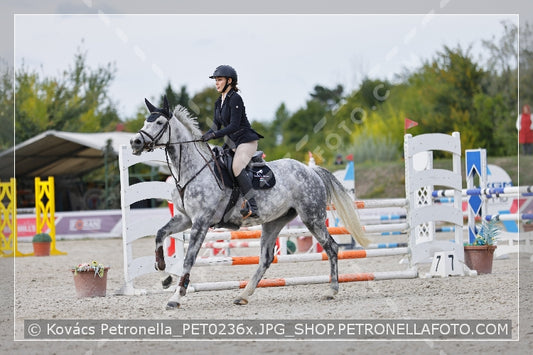 A kép az eredeti csökkentett reprezentációja