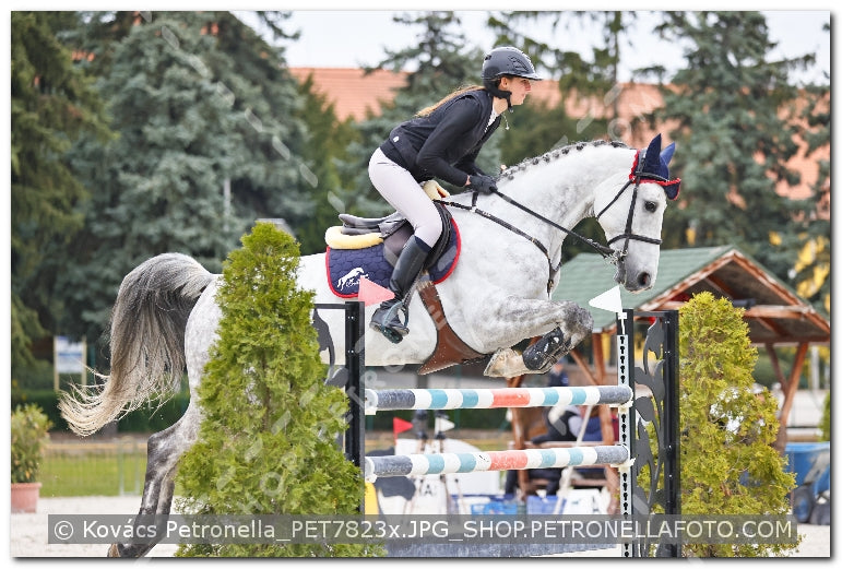A kép az eredeti csökkentett reprezentációja