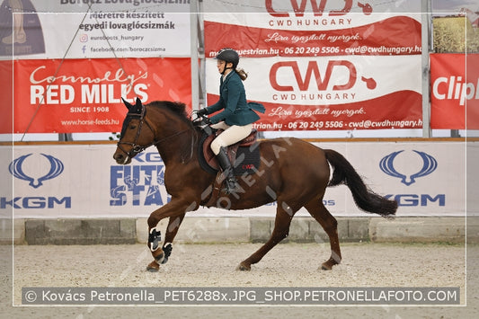 A kép az eredeti csökkentett reprezentációja
