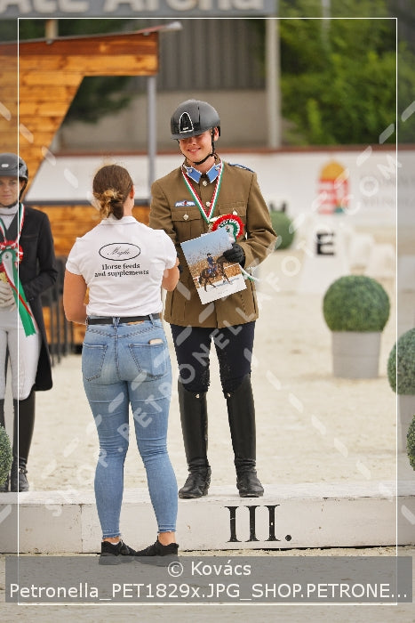 A kép az eredeti csökkentett reprezentációja
