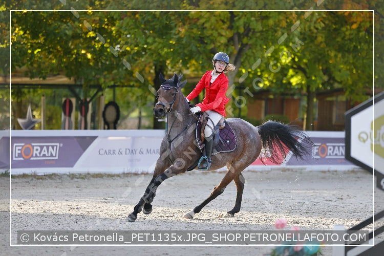 A kép az eredeti csökkentett reprezentációja