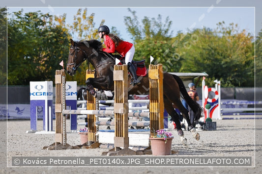 A kép az eredeti csökkentett reprezentációja