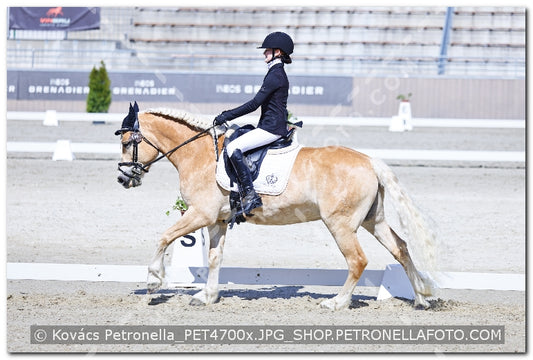 A kép az eredeti csökkentett reprezentációja