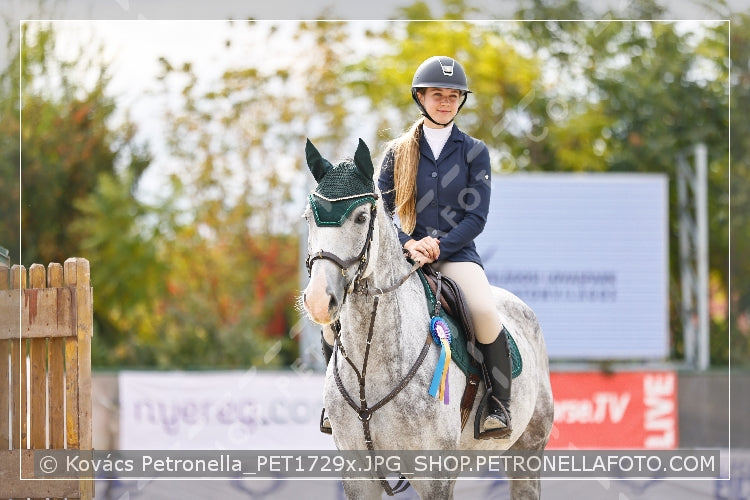 A kép az eredeti csökkentett reprezentációja