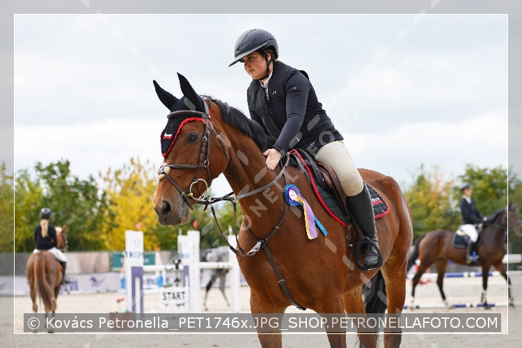 A kép az eredeti csökkentett reprezentációja