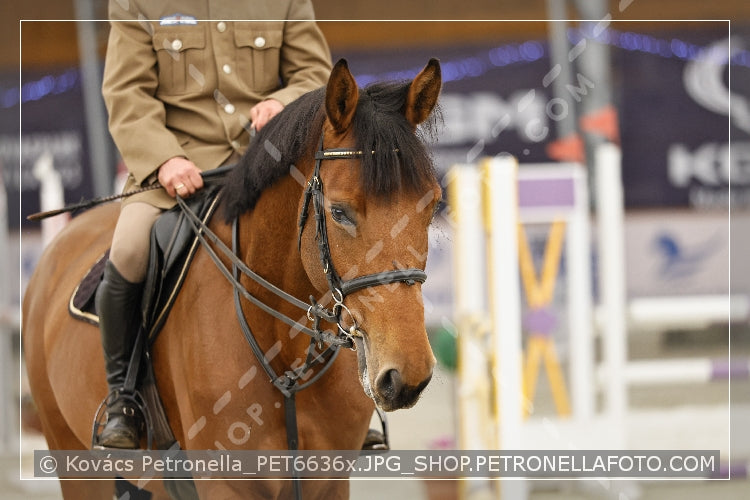 A kép az eredeti csökkentett reprezentációja